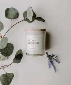 Budget π Sweet Water Decor Calm And Comfort Soy Candle - White Jar - 11 Oz CANDLES + REEDS β 12 Sweet Water Decor Calm And Comfort Soy Candle - White Jar - 11 Oz CANDLES + REEDS